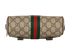 Ophidia Belt Bag, top view